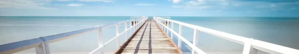 蓮子水共同體的沙龍