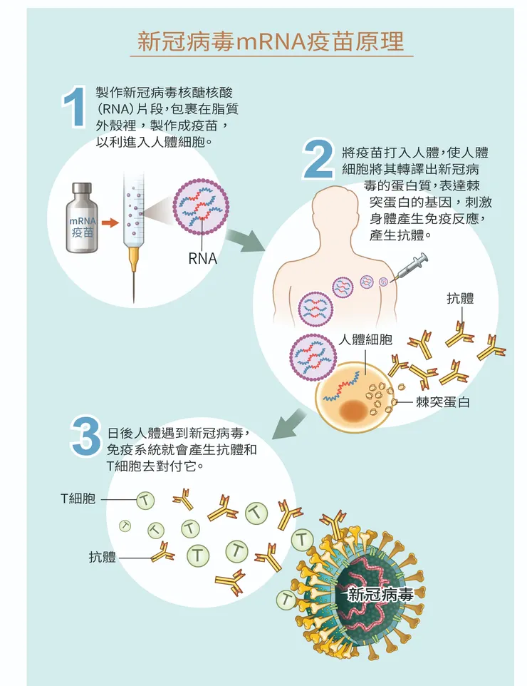 圖源: 財團法人全民健康基金會