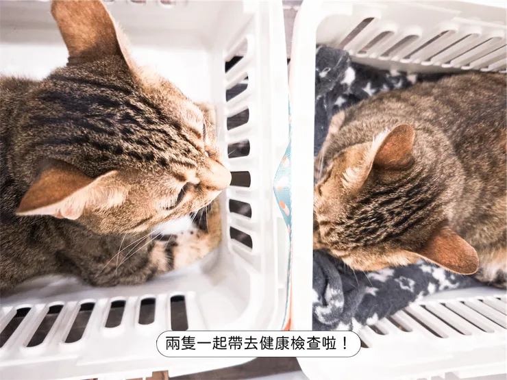 我大約2年帶一次健康檢查～