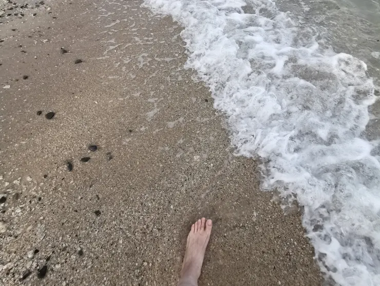 婆羅洲海岸 / 攝影 Nat