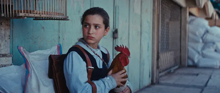 《總統的蛋糕》