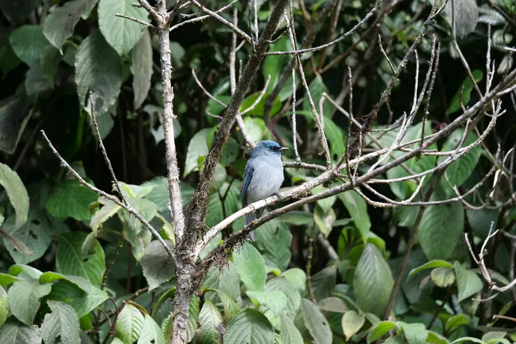 肚子漲漲很可愛