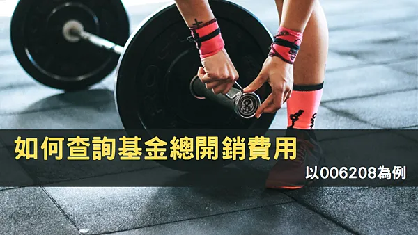 006208 基金成本??總開銷費用??投信投顧公會有統計