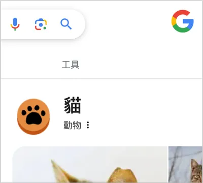 Google 的神秘寵物小遊戲