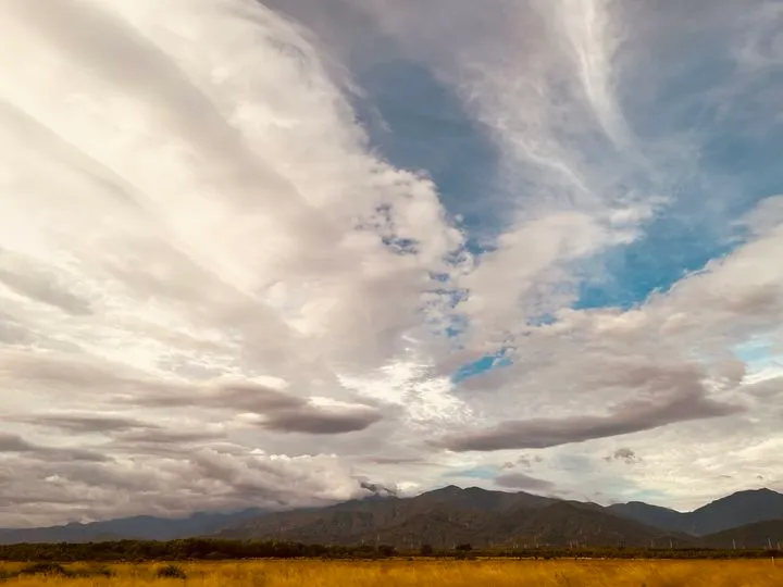- 星辰田野#44｜父親節特輯：星盤裡的爸爸看哪裡？-