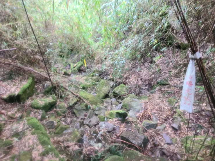 青苔、溪溝，沿著方向走