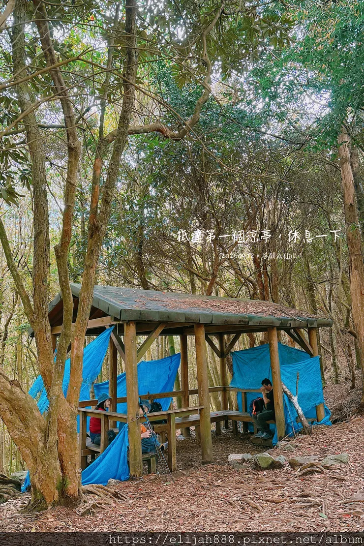 【谷關健行/住宿】谷關七雄老大。海拔2366公尺八仙山主峰。