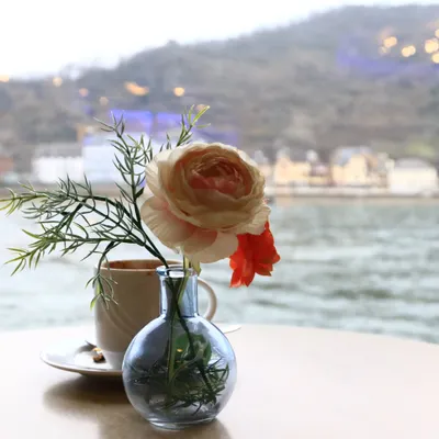 左岸光影的沙龍