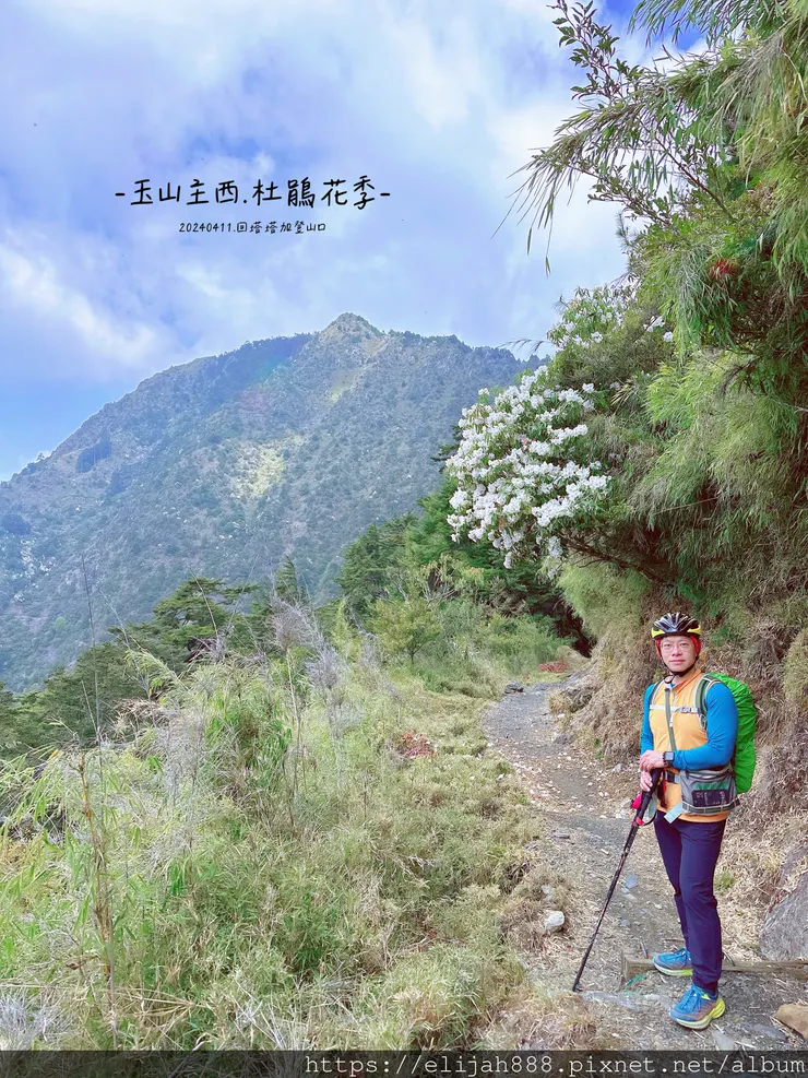 【玉山主峰西峰.兩天兩夜】冷到爆炸的玉山主峰賞雲海/一直走花