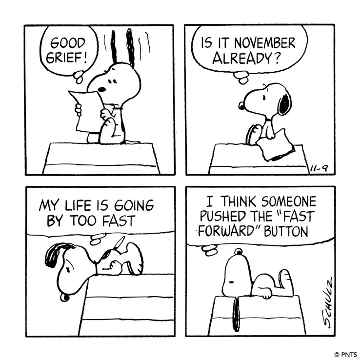 Charles M. Schulz Museum