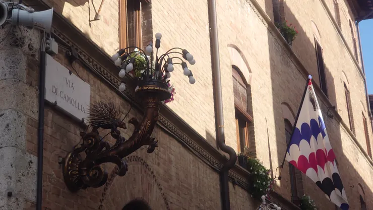 Photo: Zora @ Siena, Italy. Aug 24, 2024.