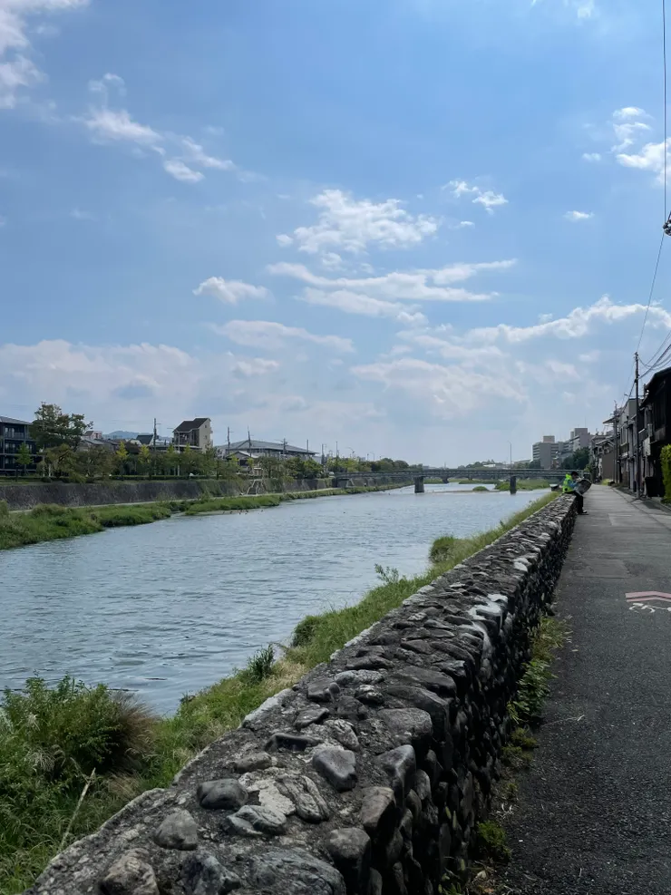 京都蒼鷺發現地！