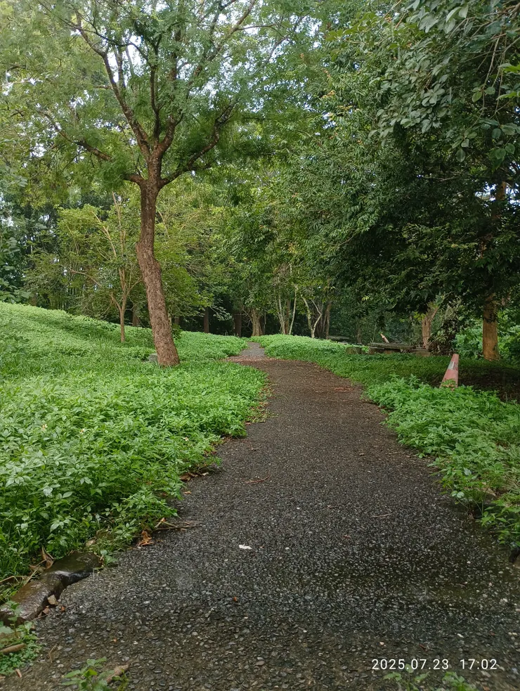 雨遇亭佇，自拍攝