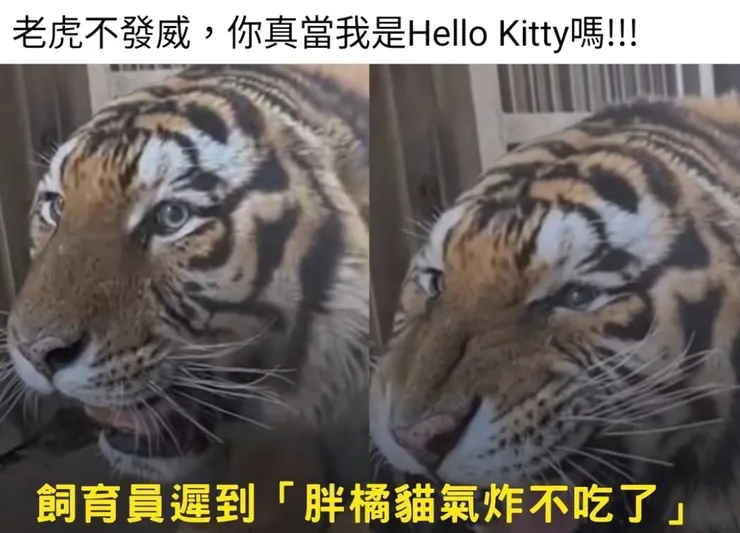 圖：聯合新聞網