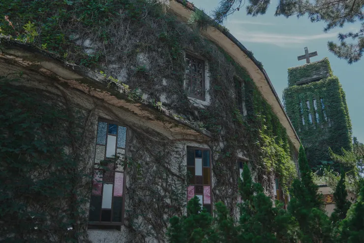 1141219-「繁花盛開 We Bloom!」全面躍上國際舞台-新城天主教堂