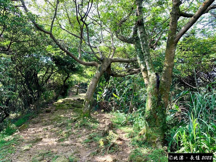 北漂長住。福源山