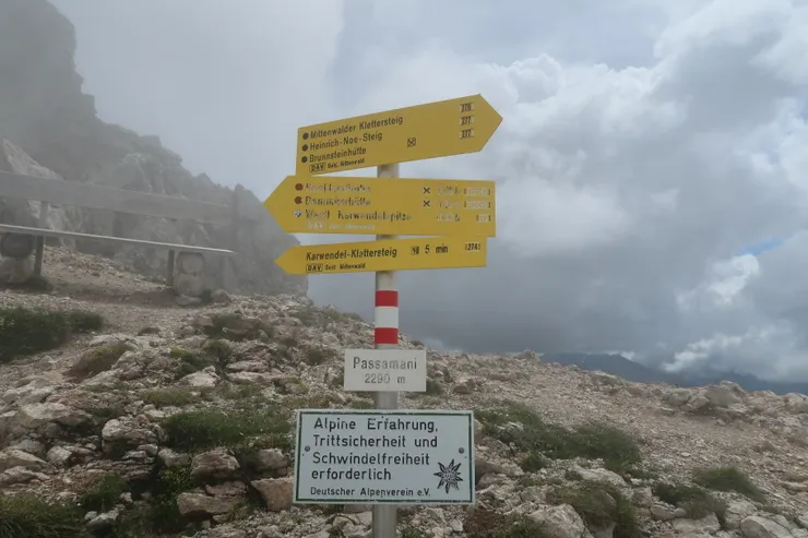 這畫的應該是Edelweiss薄雪草吧!