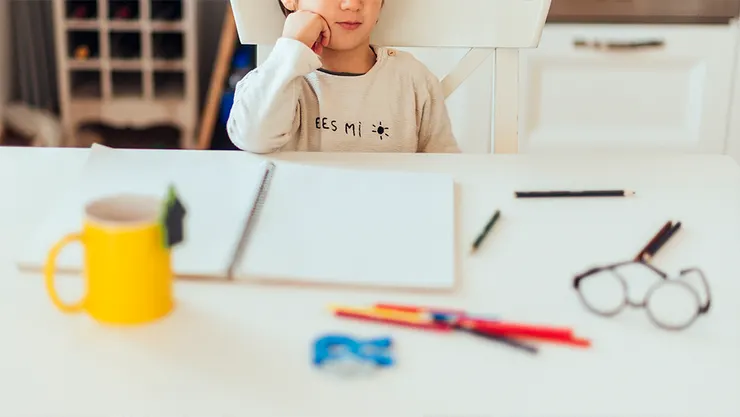 種下收納的種子