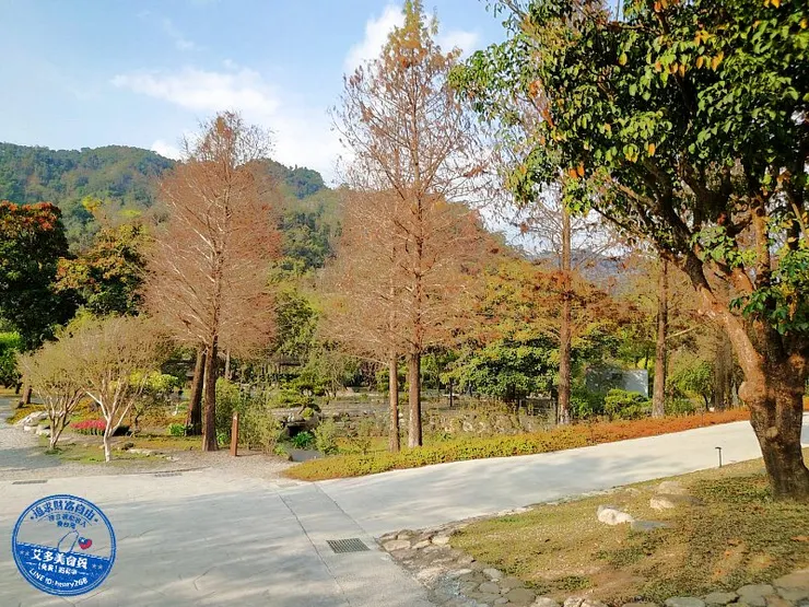 南投國姓新景點｜春水山林