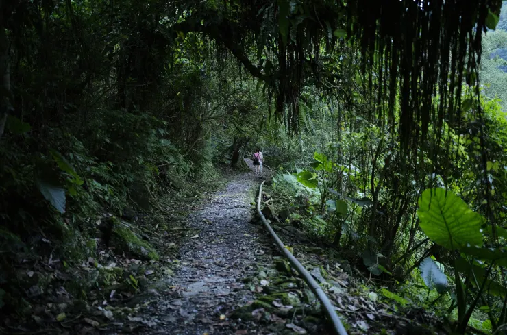 向晚的沿山步道