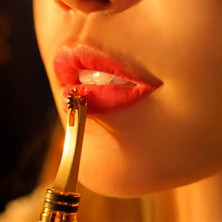 BDSM,BDSM Toys,BDSM Sex Toys