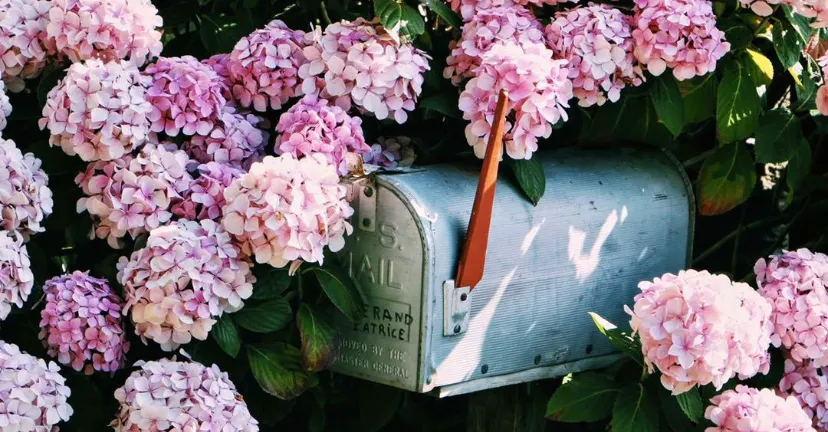 戴維在聽的沙龍