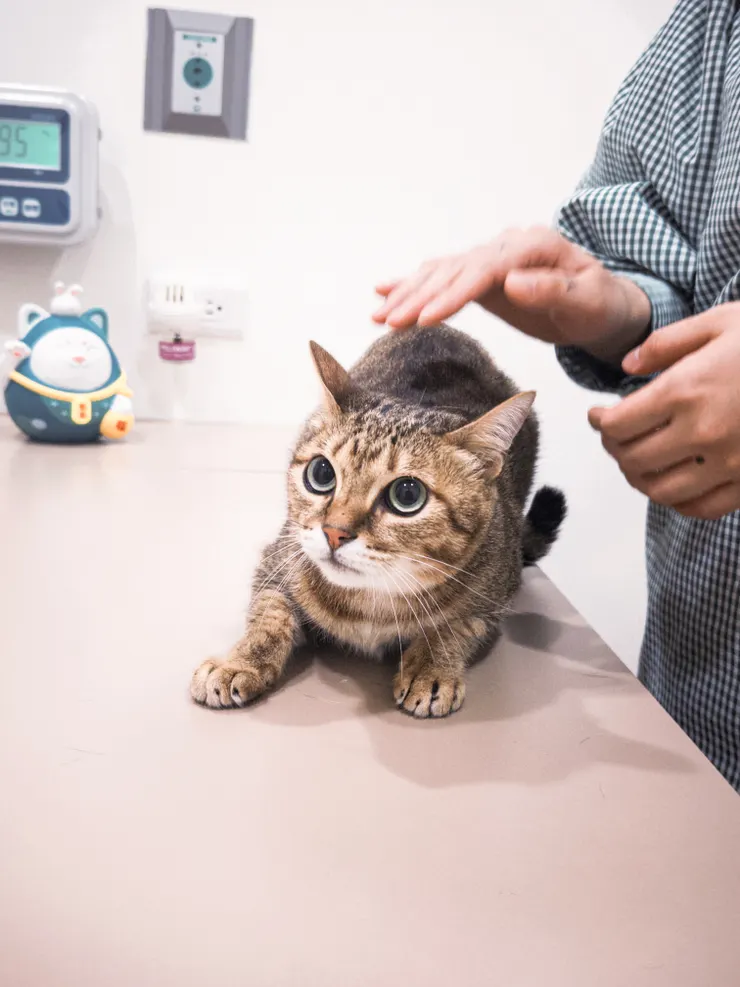 附上 健康檢查超級緊張的早安。