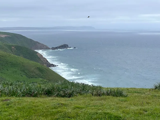 眼底的美景比鏡頭更好 ❤