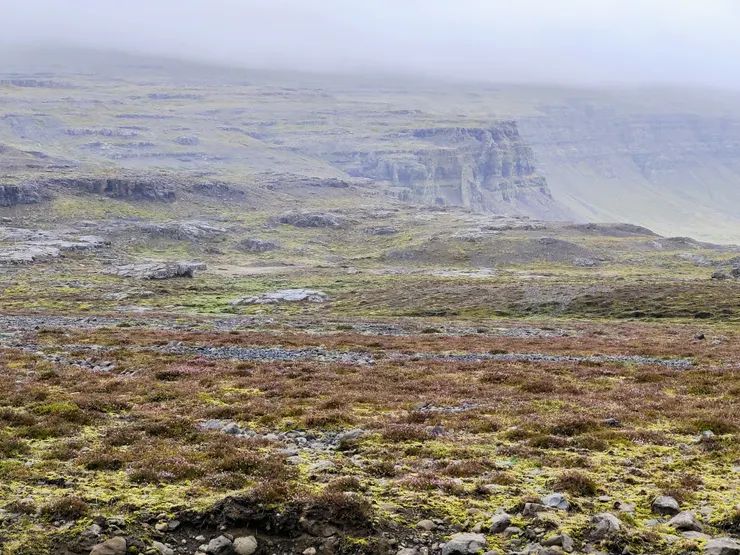美麗孤寂的苔原及盾狀山脈。