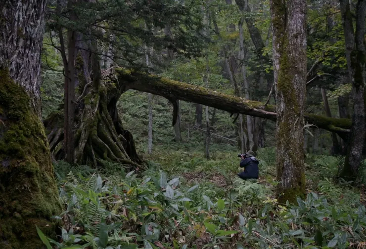 若狹政信老師與他最愛的樹洞/攝影:NANA濕婦