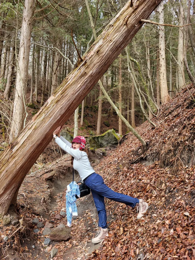 日本大分-由布岳 || 沿途景色