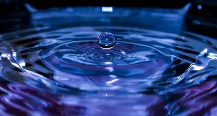 金星人眼中的至毒