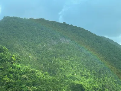 送給各位｜晨間彩虹🌈