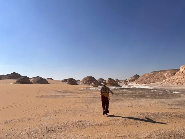 在沙漠裡，請仔細聆聽來自曠野的聲音，是幽靜中帶著生命力的音頻