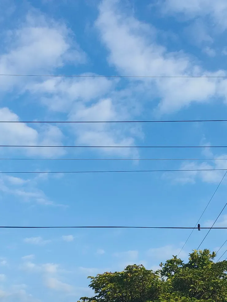 嗯，天空是靈魂每天的麵包