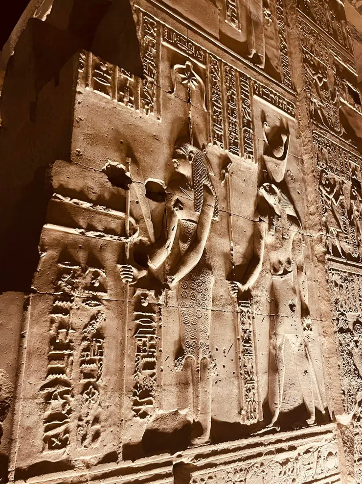 數學之神和老鷹神