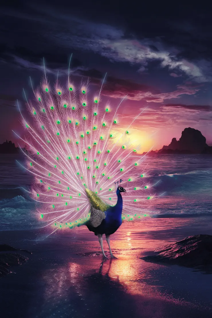 A mesmerizing photograph of an exotic peacock, standing proudly on a serene beach during a breathtaking sunset. The peacock's tail, adorned with vibrant and eye-catching feathers, is fully spread out and illuminated with ultra-bright neon lights, creating a stunning contrast between its colors and the darkening sky. The water's edge shimmers with the reflection of the sun's final rays, while the distant rocky outcrops are silhouetted against the horizon. The atmosphere of this enchanting scene is filled with a sense of wonder and mystique, capturing the essence of nature's beauty in a captivating and imaginative way.