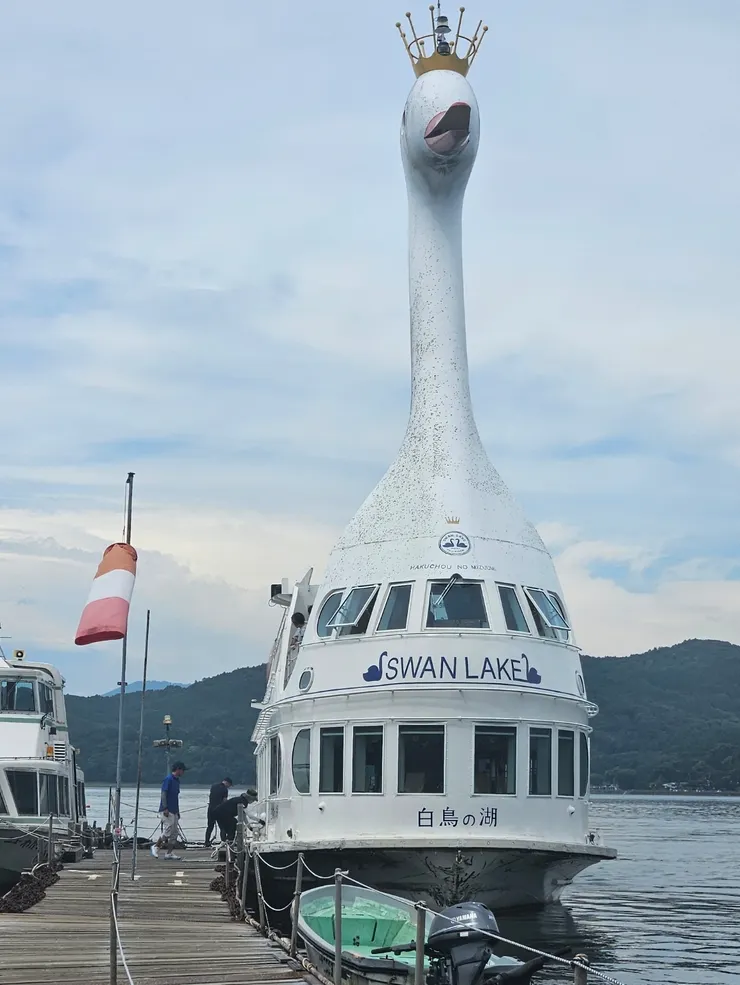 實際超級巨大的白鳥號