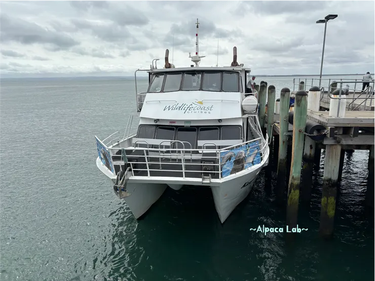 開網路預約email簡訊,來船邊等待驗票上船就OK囉!(位置是先到先選,建議早到選擇自己偏好的位置囉)