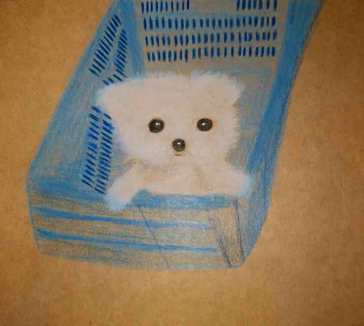 網友的馬爾濟斯