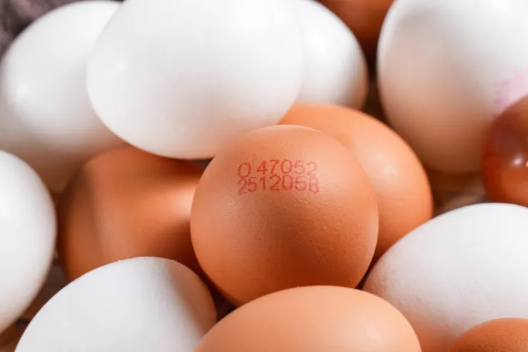 臺南蛋品是台灣第一間民營洗選蛋公司，逐顆噴印的編碼如同雞蛋身分證，讓消費者清晰辨識產地來源。（資料來源：臺南蛋品）