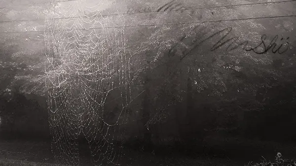 這裡的蜘蛛個個都立志築世界上最大的網,完全不合都市俗的認知邏輯。害我每次回家,髮上、臉上、身上都掛上好幾條(lll-ω-)