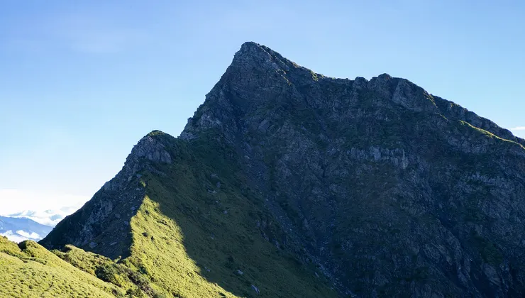 維基百科檔案照