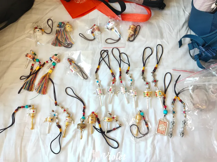 西藏 青藏列車上