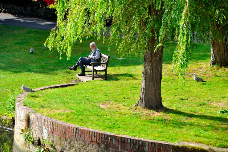 【軍事運河在北邊將住宅區環抱！在運河區獨坐的老人。】