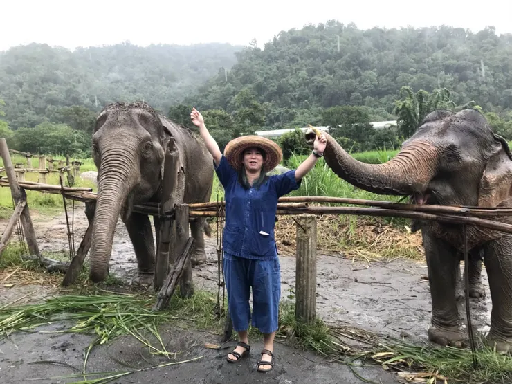 千萬不要拿著香蕉要給不給的欺負大象，大象會生氣喔