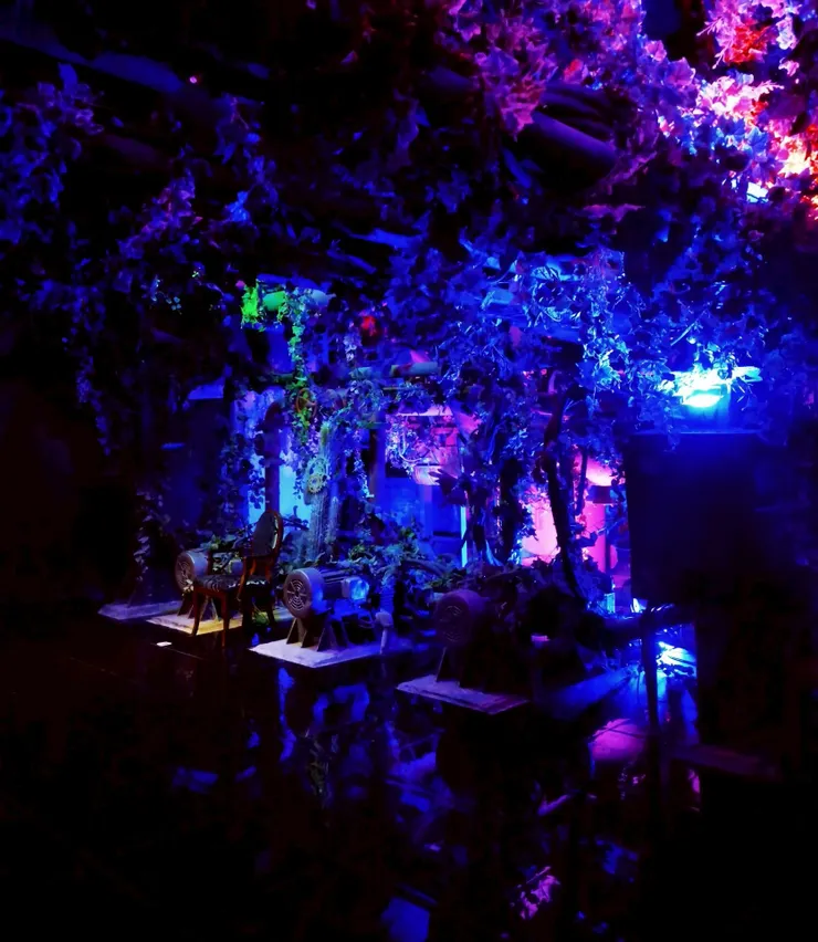 藍色的燈光增添了神祕的感覺