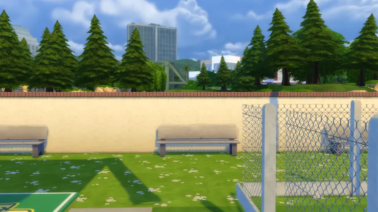 草地上長著小花，校園真是優美！