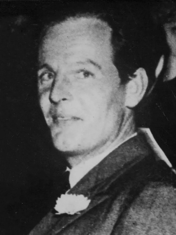 麥克林 維基百科資料照