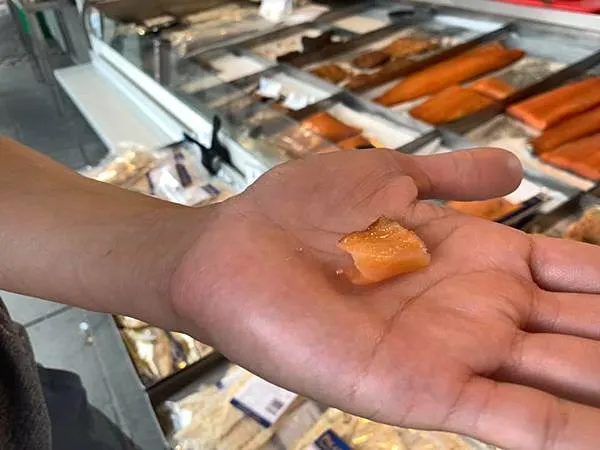 300天環遊世界之旅：挪威自駕露營全紀錄